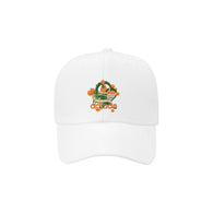 Adidas DragonBall Cap