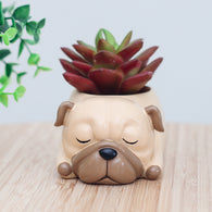 Cartoon Pug Dog Decorative Bonsai Pots